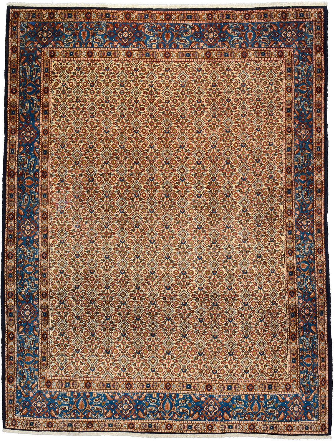  Moud Teppich 220 x 290 